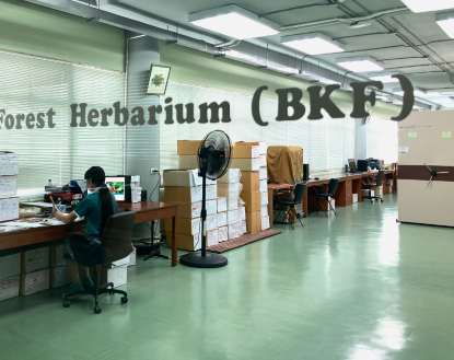 Herbarium Importance Image