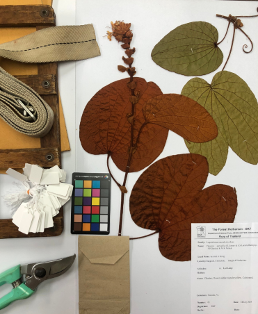 Preparation Demonstration Image